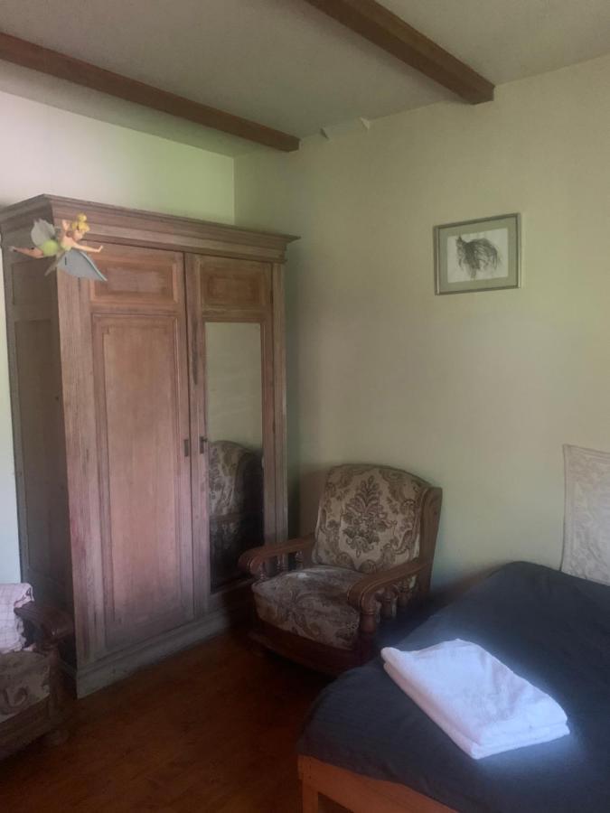 Hotel Vila Zia Corbeni Esterno foto