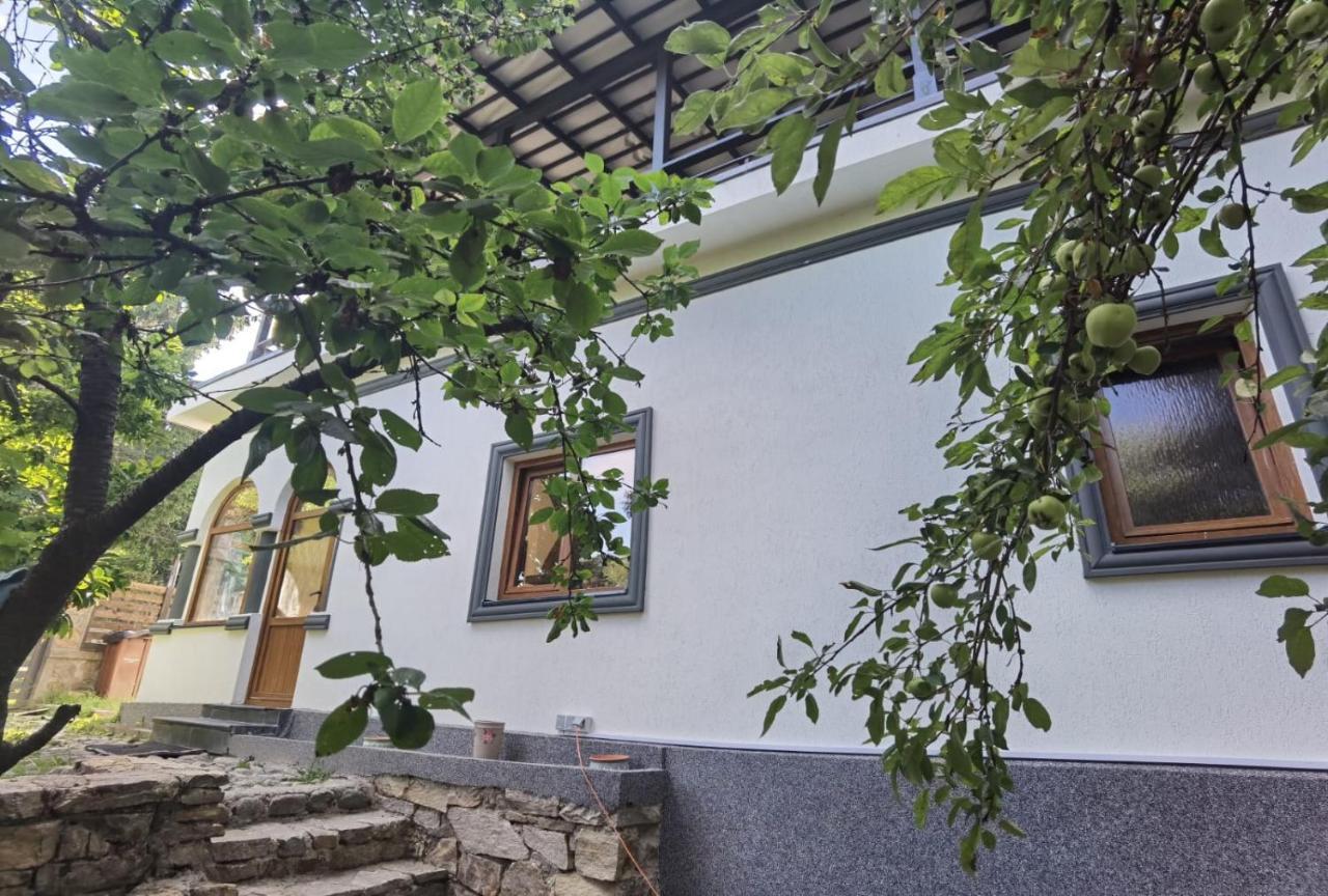 Hotel Vila Zia Corbeni Esterno foto